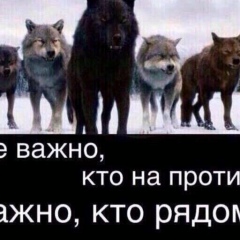 Dinmuxammed Kenes, 31.01.1993, Тараз