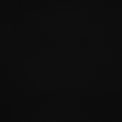 Юлия Воробьева, Москва