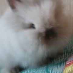 Аня Акимова, 17.10.1986, Санкт-Петербург