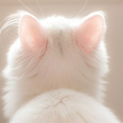 Юля Савенкова