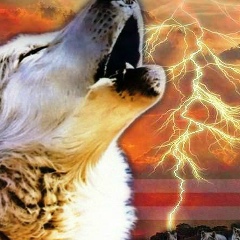 Вугар Сулейманов, 26.05, Москва