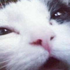 Mikołaj Piechowski, 26.01.2001, Białystok