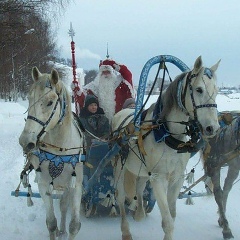 Дмитрий Носов, 14.08.1997, Вологда