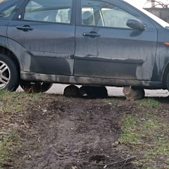 Михаил Коломийчук, 26.10.1984