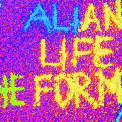 Аннет Кузьмина, 29.08, Новосибирск