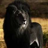 Абдуллин Энгель, 17.08.1977, Казань