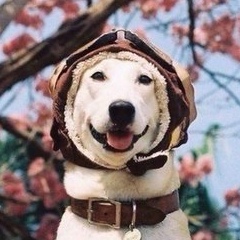 Ольга Вишневецька, 09.08