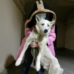 Ольга Дубенская, 26.09, Санкт-Петербург