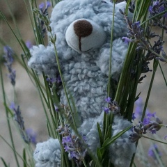 Любовь Анатольевна, 23.05, Санкт-Петербург