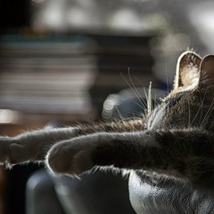 Катя Захарова, 13.08.1989, Москва