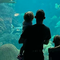 Oleg Mgeli, 17.05.1988