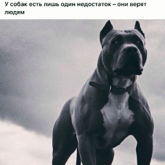 Артур Тойлубаев, 28.03, Алматы