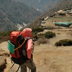 Ольга Лужбинина, Зеленоград