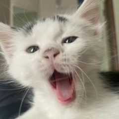 Виктор Юрьев, 19.11.2002, Бишкек