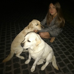 Ani Stepanian, 25.06, Москва