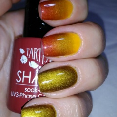 Елена Лонская, 02.02, Ессентуки