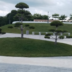 Марианна Василиади, Ростов-на-Дону