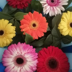 Юлия Тюфтина, Сыктывкар