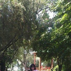 Papina Dochka, Ташкент