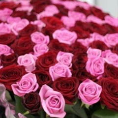 Гаухар Турлибекова, 17.04, Шымкент