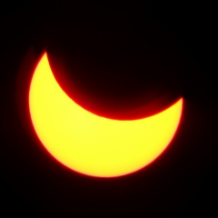 Антон Романов, 19.06.1984, Москва