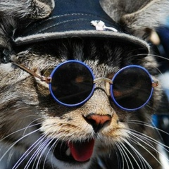 Den Savkin, Петрозаводск