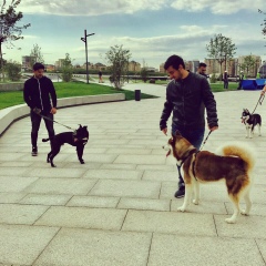 Ниджат Магеррамов, 24.04, Санкт-Петербург