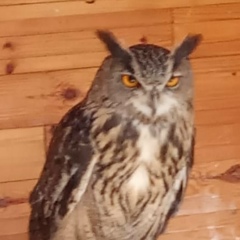 Роман Плотников, 05.04, Санкт-Петербург