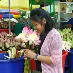 May-Kyawt Shin, 22.05.1999