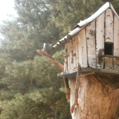 Анна Кононова, 22.11