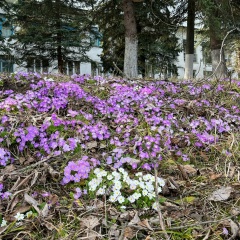 Елена К, 30.08, Нальчик