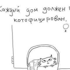 Екатерина Стельмащук, 16.11, Николаев