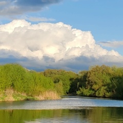 Роман Козлов, 05.08, Тула