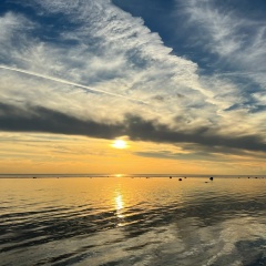 Ольга Коган, 15.08, Санкт-Петербург