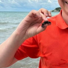 Владимир Нетленнов, 04.02, Санкт-Петербург