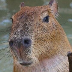 Mary Kerrigan, 15.07.1993, Москва