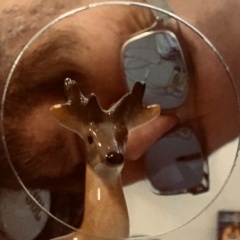 Паша Королев, Москва