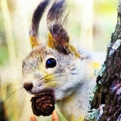 Гавриил Пушкарев