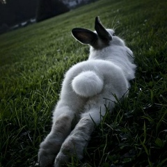 Анна Жукова, Киев