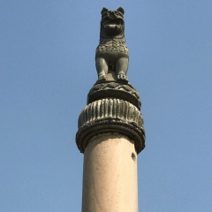 Nyana Bala