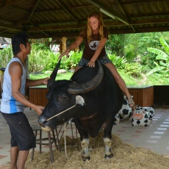 Женя Гречкина, 29.12, Санкт-Петербург