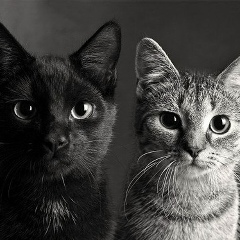 Люба Патрухина, 23.10.1988, Санкт-Петербург