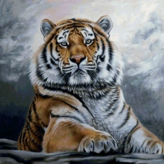 Ватан М, Краснодар