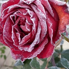 Настенька Мусатова, 17.06.1987, Москва