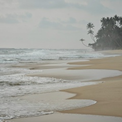 Алексей Григорьев, 02.03.1982, Санкт-Петербург