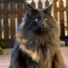 Матвей Силкин, 11.10.1991, Кондопога