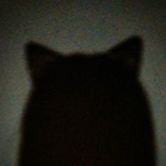 Екатерина Громова, 30.10, Шымкент