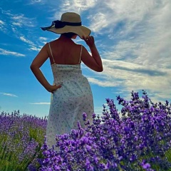 Анна Доронина, Санкт-Петербург