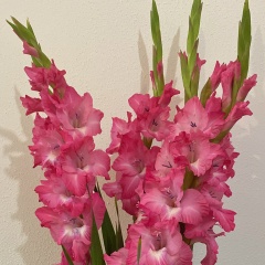 Нат Чаркова, 10.01, Москва