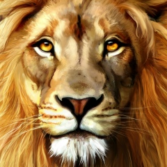 Егор Андреев, 17.04.1995